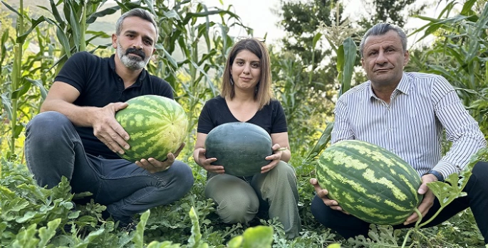 Hem öğretmen hem de çiftçi: Yetiştirdiği karpuzlar 20 kiloya ulaştı