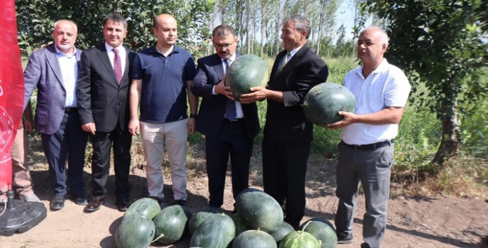 Iğdır'da üretilen karpuzun dördüncü hasadı başladı