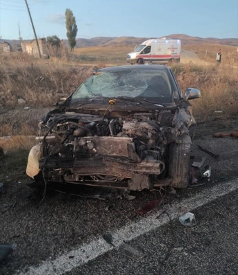 Ağrı'da otomobillerin çarptığı hayvanlar telef oldu, 3 kişi yaralandı