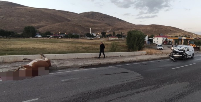 Bingöl'de ineğe çarpan hafif ticari araçtaki bir kişi yaralandı