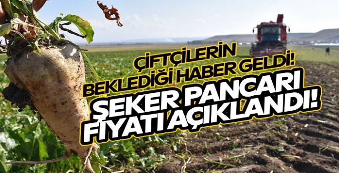 Bulanıklı Çiftçilerin Merakla Beklediği Ürünün Fiyatı Açıklandı