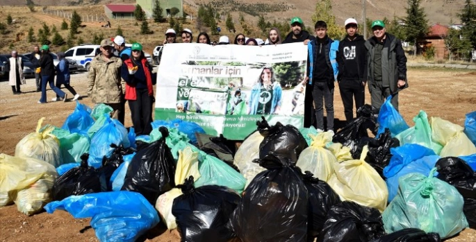 Van, Bitlis, Hakkari ve Muş'ta ormanlarda temizlik yapıldı