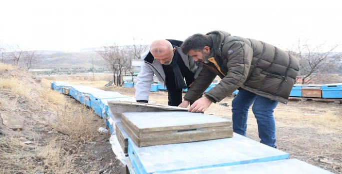 Arılar yıllar sonra ilk defa kış uykusuna erken yattı