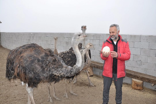Burası Afrika değil Kars
