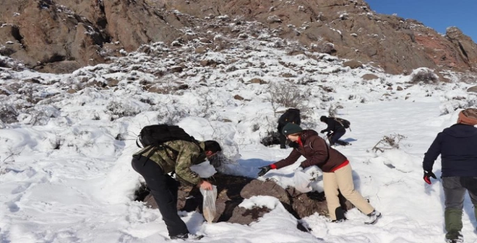 Erzurum'da doğaseverler soğuk havalarda keklikleri unutmadı