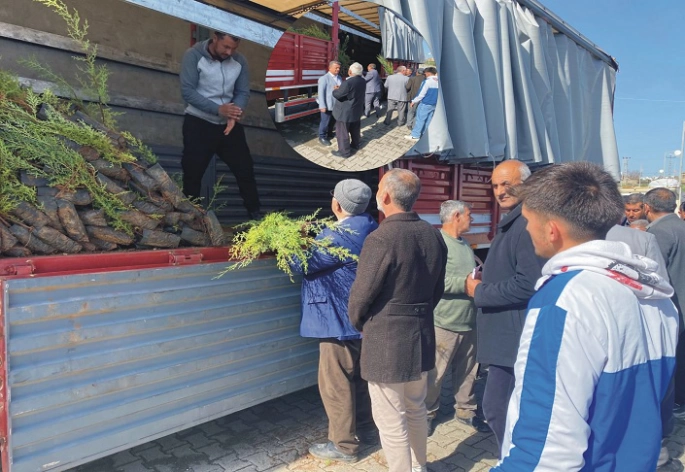Erentepe Belediyesi Ücretsiz Fidan Dağıtımı Yaptı