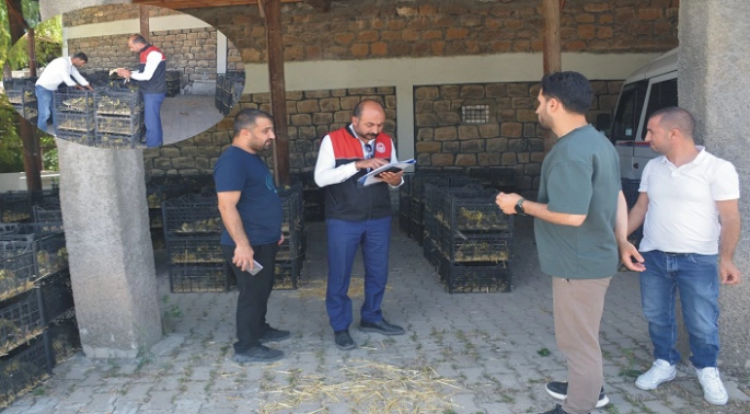 Bulanık’ta Kaz Yetiştiriciliği Hamlesi: 10 Milyon TL’lik Projeyle Yetiştiricilere Kaz Palazı Dağıtıldı