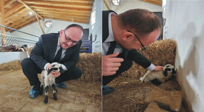 Muş’a Hayvancılıkta Model Olacak Merkez Geliyor