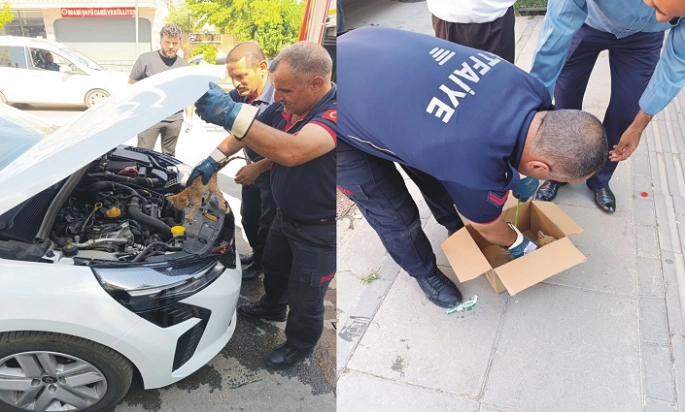 Muş Belediyesi Ekiplerinden Sevimli Kurtarma Operasyonu