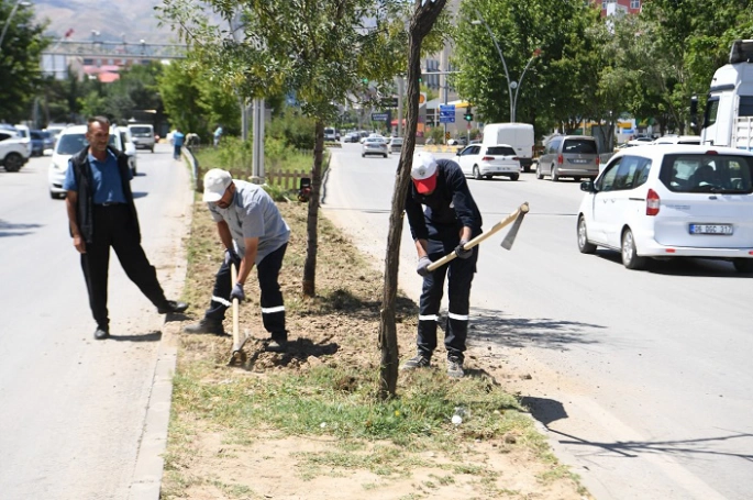 Muş Belediyesi’nden Yeşil Şehir Vizyonu: Refüjler Yenileniyor