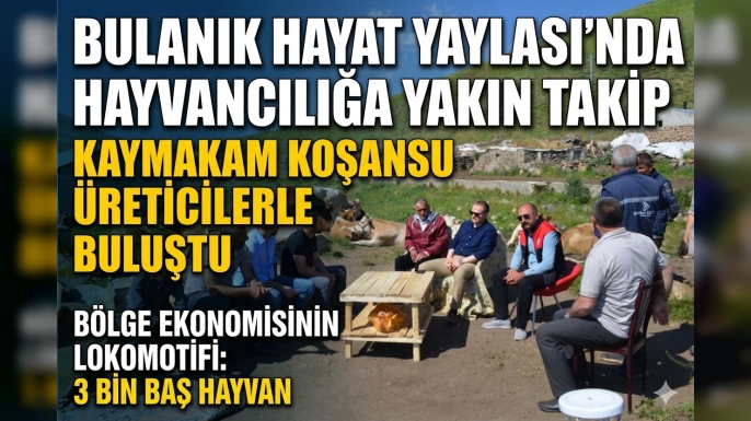 Bulanık Hayat Yaylası’nda Hayvancılığa Yakın Takip: Kaymakam Koşansu Üreticilerle Buluştu