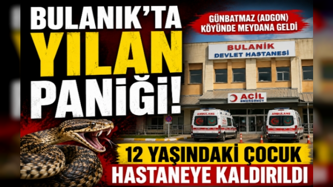 Bulanık'ta 12 Yaşındaki Çocuğu Yılan Soktu