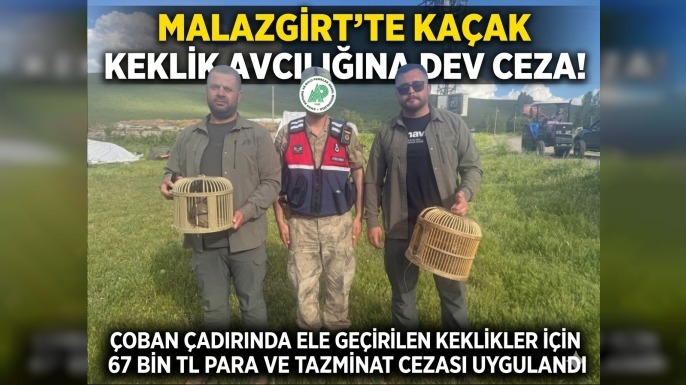 Malazgirt’te Kaçak Keklik Avcılığına Dev Ceza: Çoban Çadırında Kınalı Keklik Ele Geçirildi
