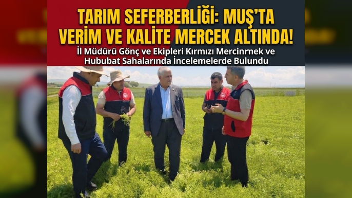 Muş'ta Kırmızı Mercimek ve Hububat Ekim Alanlarında Saha Kontrolleri Yapıldı