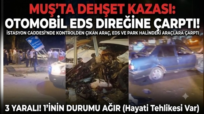 Muş'ta otomobil EDS direğine çarptı: 1'i ağır 3 yaralı