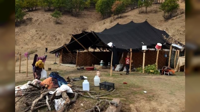 Bitlis'te Göçer Aileler Arasında Kanlı Kavga: 1 Ölü, 3 Yaralı