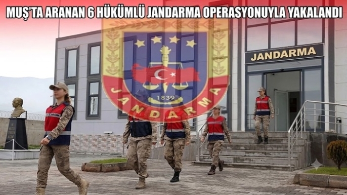 Muş'ta İl Jandarmadan Operasyon: Aranan 6 Hükümlü Tek Tek Yakalandı