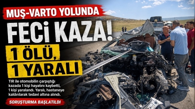 Muş-Varto Yolunda Feci Kaza: 1 Kişi Hayatını Kaybetti, 1 Yaralı