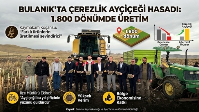 Bulanık’ta Çerezlik Ayçiçeği Hasadı: 1.800 Dönüm Alanda Üretim Yapıldı