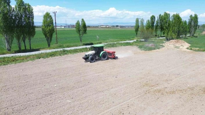Battalgazi Belediyesinden yeşil alanda üretim hamlesi
