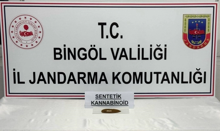 Bingöl'de bonzai ele geçirildi: 4 gözaltı