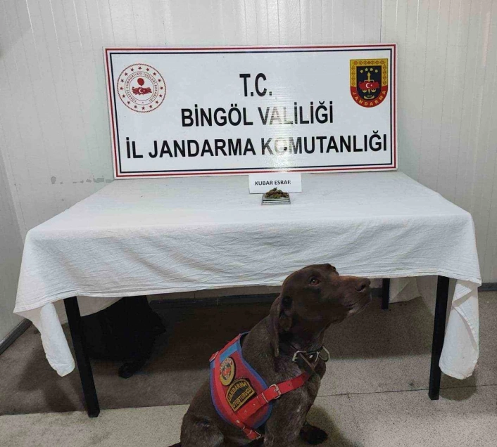 Bingöl'de uyuşturucu madde ve tüfek ele geçirildi