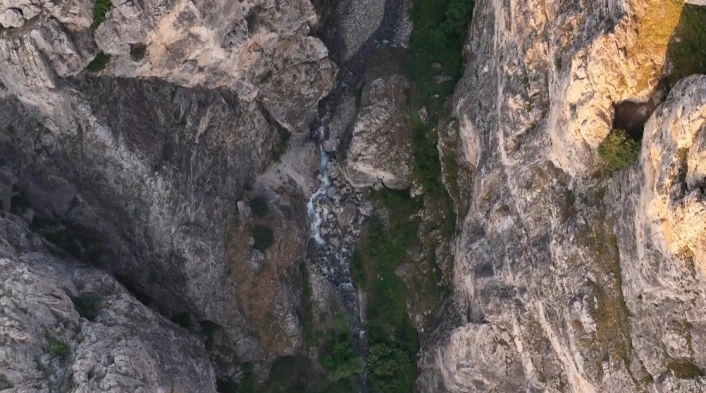 Erzincan'da kanyonlarla bütünleşen yaban keçileri