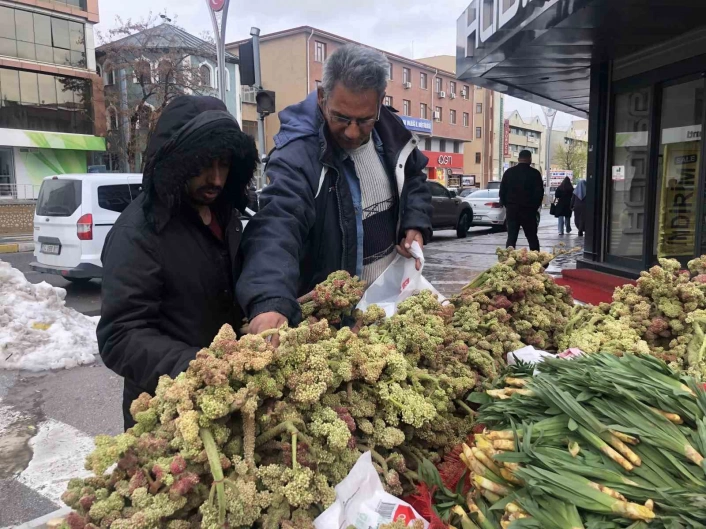 Erzincan'da rıbesin destesi 100 ila 300 TL'den satışta