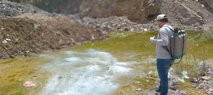 Hakkari'de yaz öncesi larva seferberliği