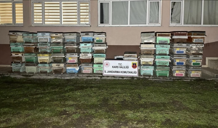 Kağızman'da arı kovanı hırsızları yakalandı