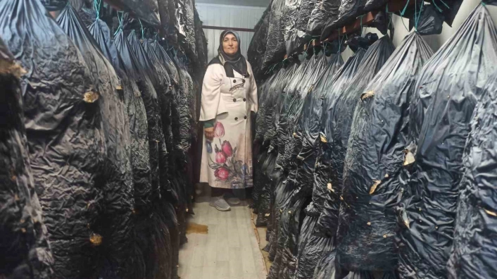 Malatyalı kadınlar konteynerde üretim yapıyor