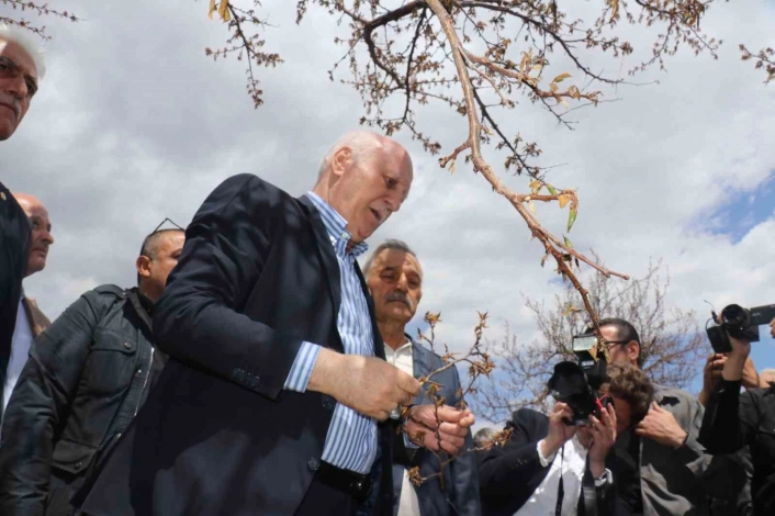 TZOB Genel Başkanı Bayraktar: ''Kayısıda yüzde yüzlere varan zarar tespit ettik''