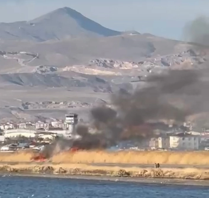 Van'da sazlık alanda yangın