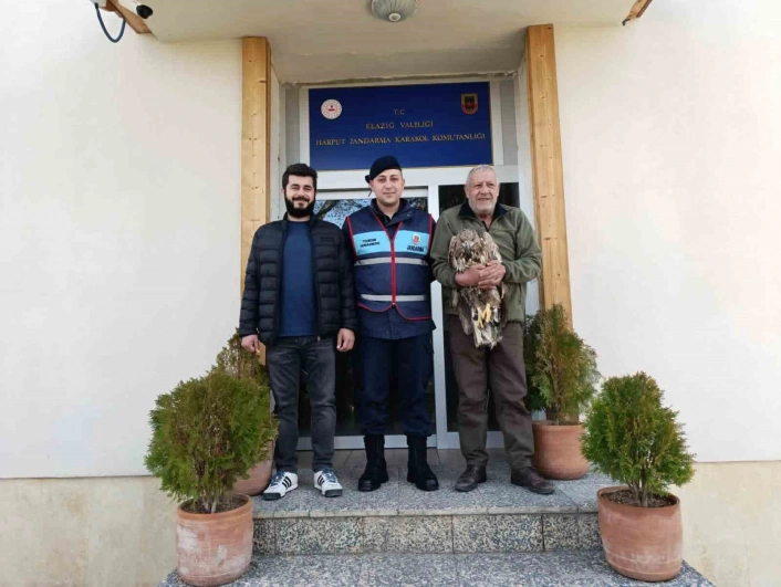 Yaralı kaya kartalına jandarma şefkati