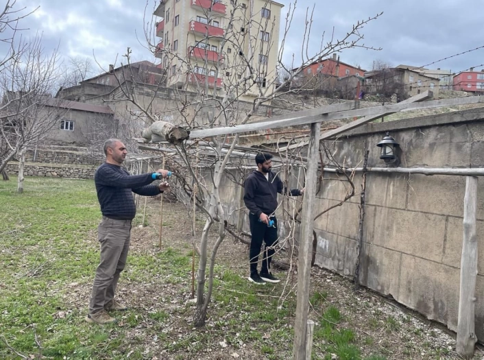 Yüksekova'da ağaçlar budandı, uygulamalı eğitim verildi