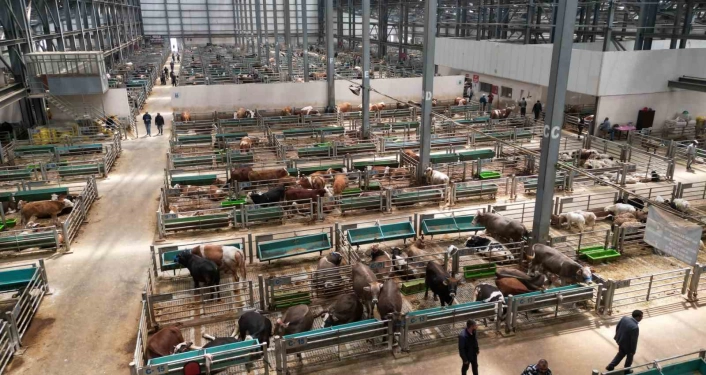 Canlı Hayvan Borsası'nı 5 yılda 2 milyon kişi ziyaret etti