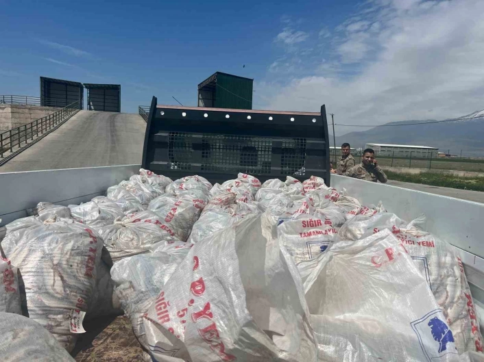 2 ton kaçak inci kefali ele geçirildi