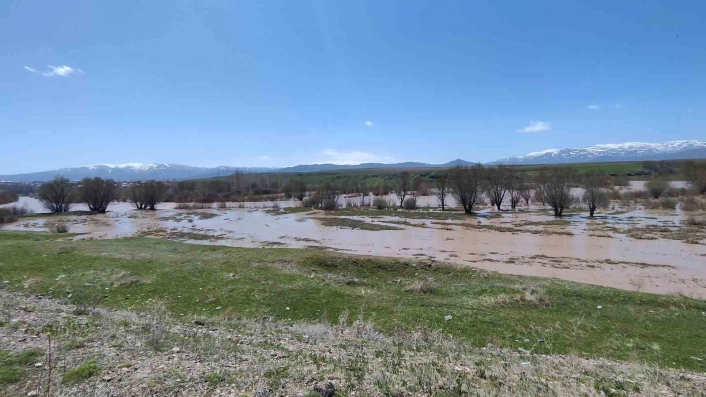 Murat Nehri taştı araziler sular altında kaldı
