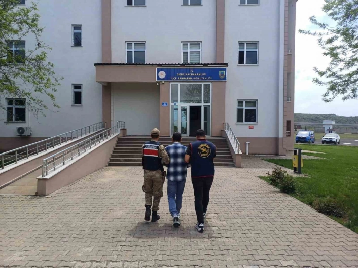 Bingöl'de kesinleşmiş hapis cezası bulunan 2 zanlı yakalandı