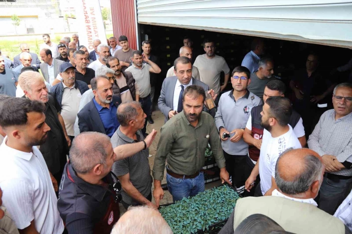 Bingöl'de üreticilere 442 bin sebze fidesi dağıtıldı