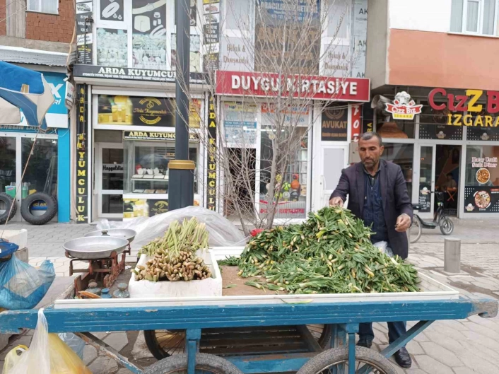 Diyadin'de baharın müjdecisi ışkın ve çiriş tezgahları süslüyor
