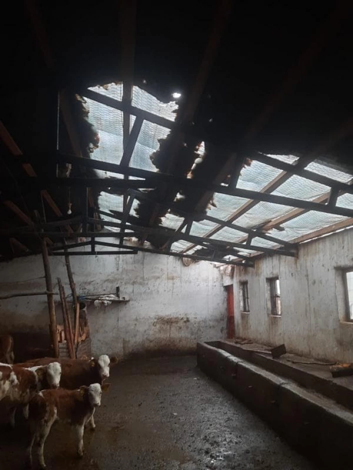 Elazığ'da etkili olan fırtına ahırın çatısını uçurdu