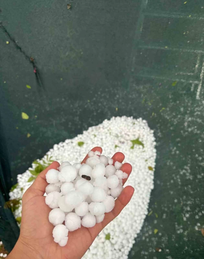 Elazığ'ın yüksek kesimlerinde dolu etkili oldu