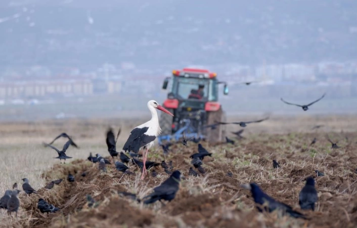 Erzurum'da traktör ve motosiklet sayısında artış var