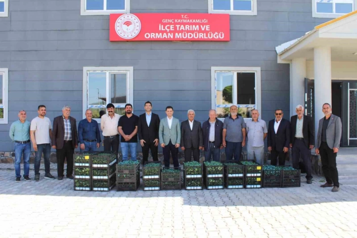 Genç'te üreticilere sebze fidesi dağıtıldı