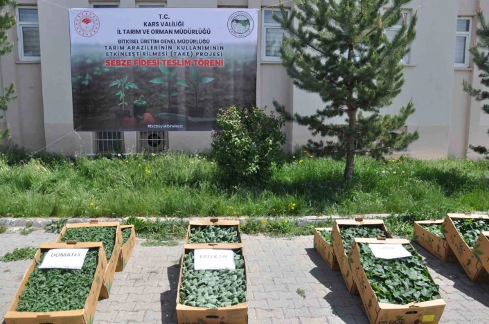 Kars'ta binlerce sebze fidesi dağıtıldı