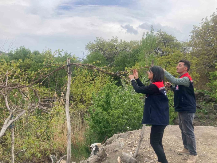 Kars'ta hasat öncesi pestisit kullanımı eğitimi