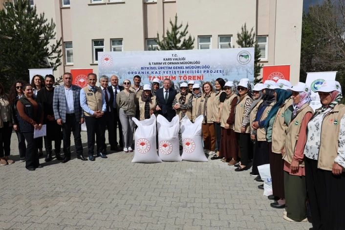 Kars'ta Organik Kaz Yetiştiriciliği Projesi başlatıldı