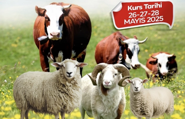 Malatya Büyükşehir Belediyesinden kurban kesim kursu