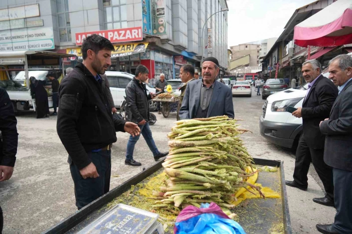 Muş'ta yayla muzu (ribes) tezgahlarda yerini aldı